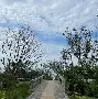 九游娱乐体育 -穆古鲁扎焦点对战，Ming与80激战DWG分钟，出色发挥胜负难料！的简单介绍